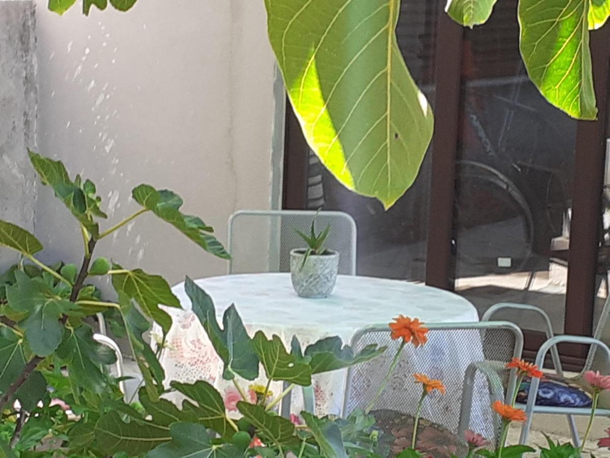 סנג' Apartment Helena מראה חיצוני תמונה